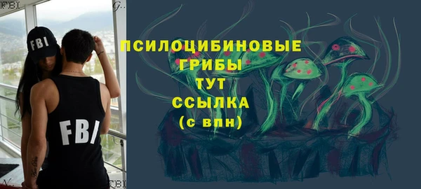 соль ск Верхний Тагил