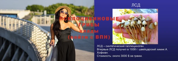 гашик Володарск