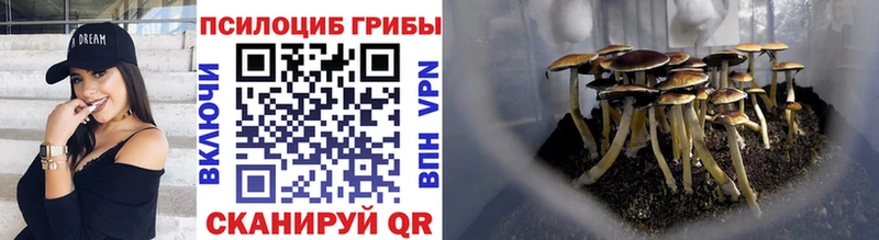 Галлюциногенные грибы Psilocybe  Купить закладки  Ханты-Мансийск 